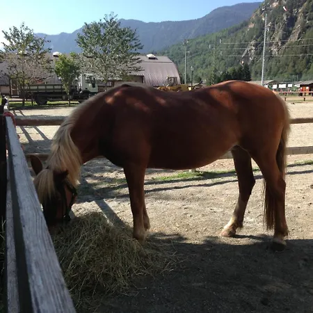 Willa With Panoramic View *